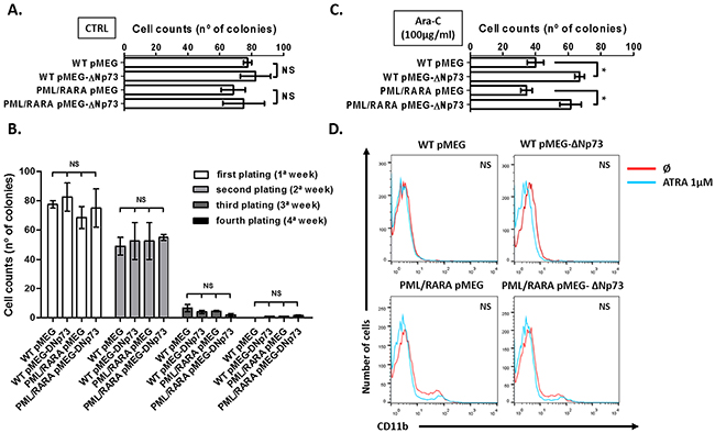 Effect of &#x0394;Np73 on stem cell self-renewal and myeloid differentiation.