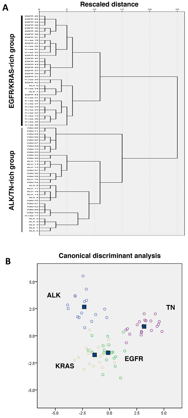 Clustering and discriminant analysis using the microRNAs expression profiles in lung adenocarcinomas.