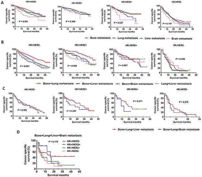 The CSS curves in breast cancer patients with different distant combination metastasis sites.