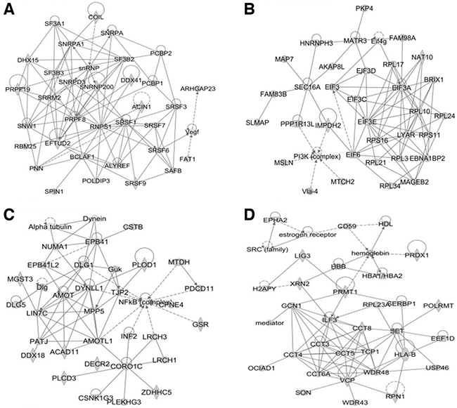 The top four networks of calgranulin B-interacting proteins identified by IPA (score &#x003E; 45).