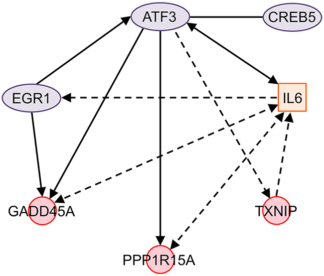 Network of ONC-regulated genes in NCI/ADR-RES cells.