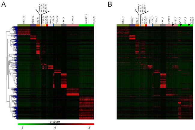Organ-specific gene expression variation between normal and tumor tissues.