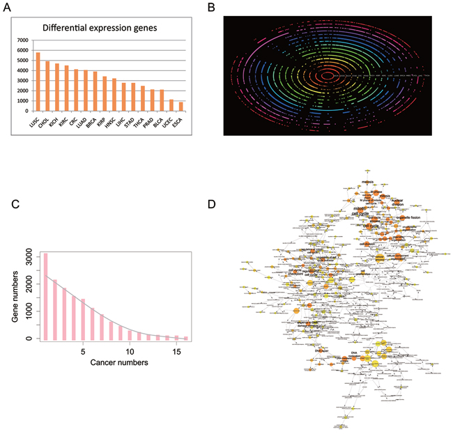 Differential expression protein coding genes across 16 tissue types.