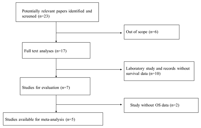 Flow diagram of the identification and selection of studies.
