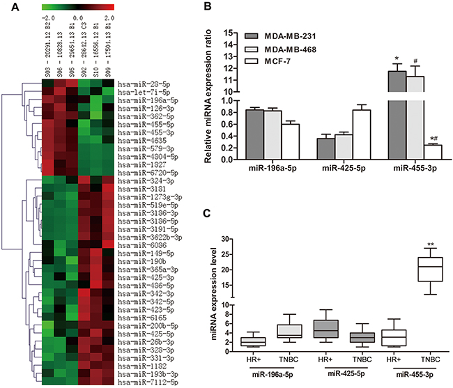 miR-455-3p was up-regulated in TNBC tissues and cell lines.