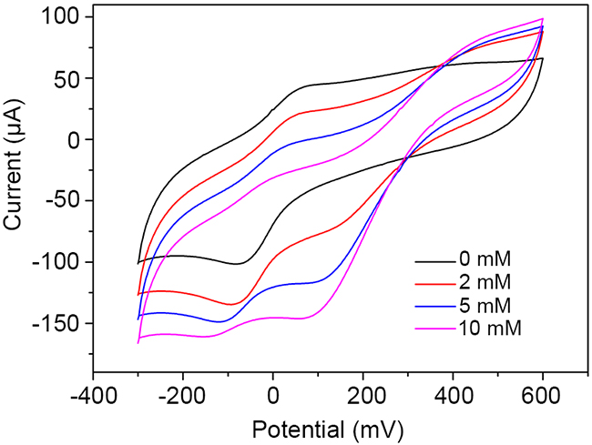Electrocatalytic activity of rGO-PANI-PtNP/GCE towards H2O2.