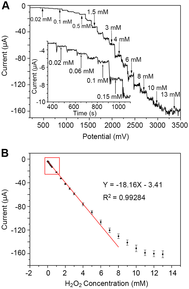 Electrochemical detection of H2O2 by rGO-PANI-PtNP/GCE.