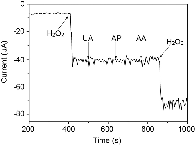 Amperometric responses of rGO-PANI-PtNP/GCE to 1 mM H2O2, 0.5 mM UA, 0.15 mM AP, 0.15 mM AA, and 1 mM H2O2 in PB at an applied potential of 0 mV.