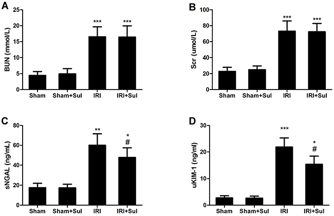 Sulodexide reduced renal ischemia-reperfusion injury in rats.
