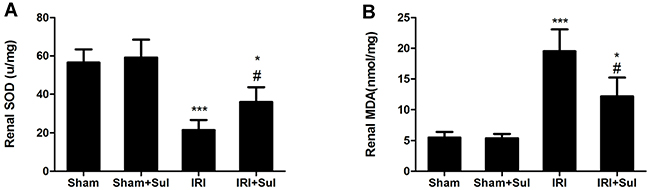 Effects of Sulodexide administration on oxidative stress level in renal tissues.