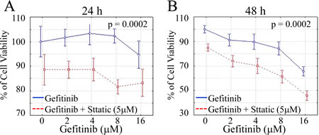 STAT3 inhibitor enhances the inhibitory effect of gefitinib on cell growth.