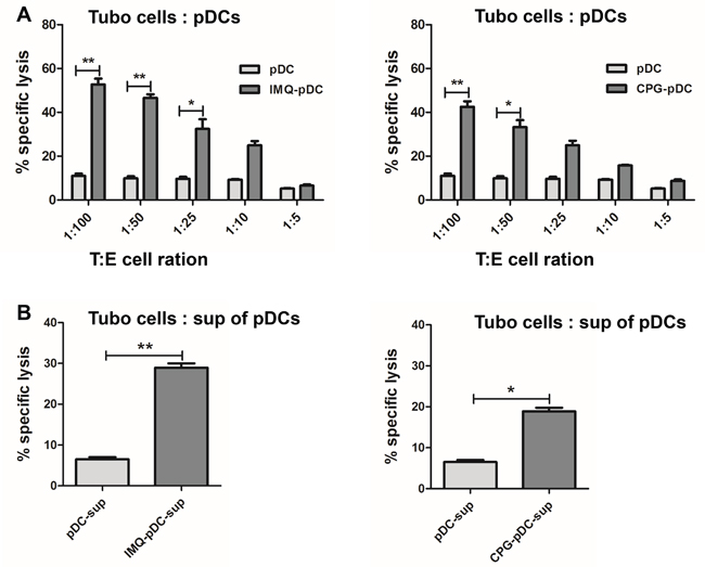 IMQ or CpG-activated pDCs kill tumor cells in vitro.