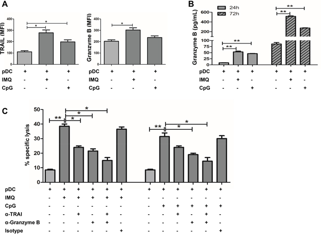 IMQ or CpG-activated pDCs kill TUBO cells in a TRAIL and Granzyme B-dependent fashion.