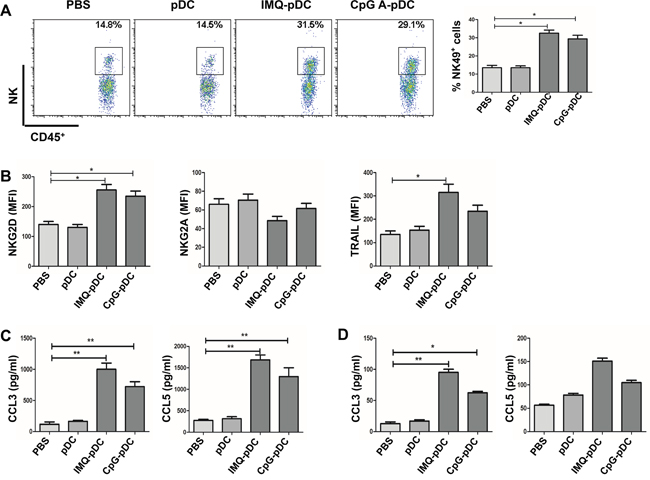 NK cells mediate the anti-tumor activity of pDCs.