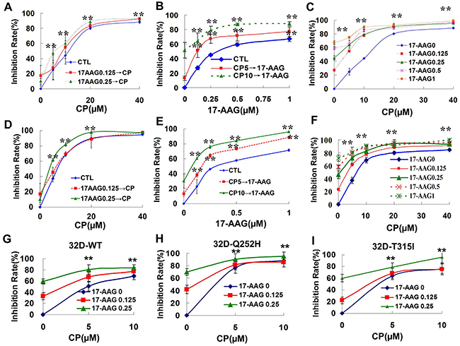 Synergistic cytotoxicity produced by 17-AAG and CP in Bcr-Abl-positive leukemia cells.