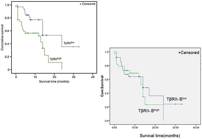 Higher T&#x03B2;RII expression is correlated with a poor clinical prognosis in AML patients.