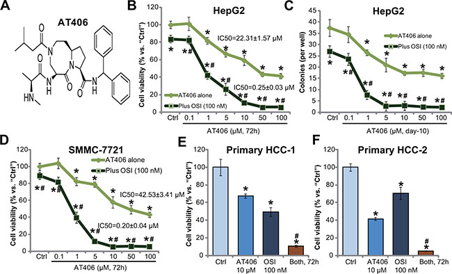 OSI-027 potentiates AT406&#x2019;s cytotoxicity in HCC cells.