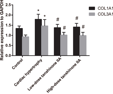 The mRNA expression changes of COL1A1 and COL3A1 in the myocardial tissue of rats in the cardiac hypertrophy, low-dose tanshinone IIA, high-dose tanshinone IIA and control groups.