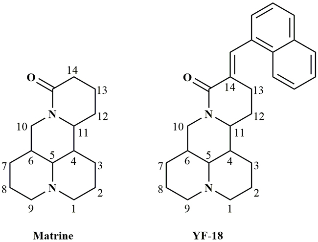 Structures of matrine and YF-18.