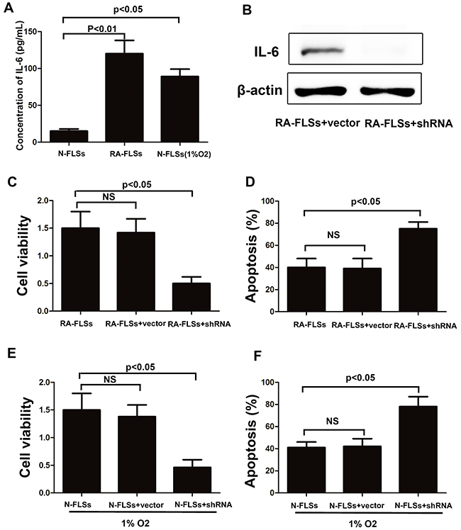 The expression of IL-6 was up-regulated not only in RA-FLSs but also in the fibroblasts that treated with hypoxia condition.