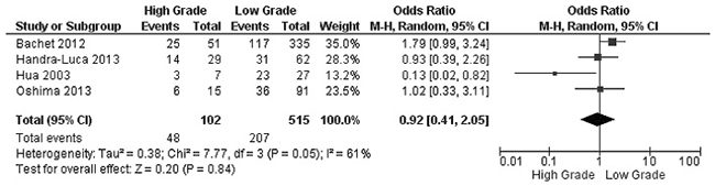 Forest plot for SMAD4 protein expression in different grade of PDAC.