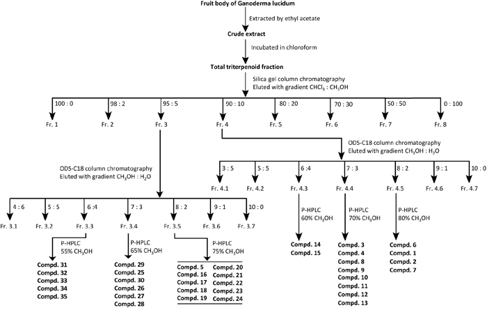 Purification procedure of compounds 1-35 from the fruit bodies of G. lucidum.