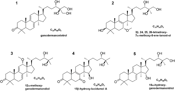 Structures and names of new compounds 1&#x2013;5.