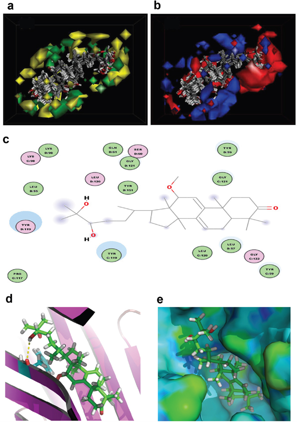 3D-QSAR model and docking analysis. a. 3D-QSAR model coefficients of triterpenoids from G.