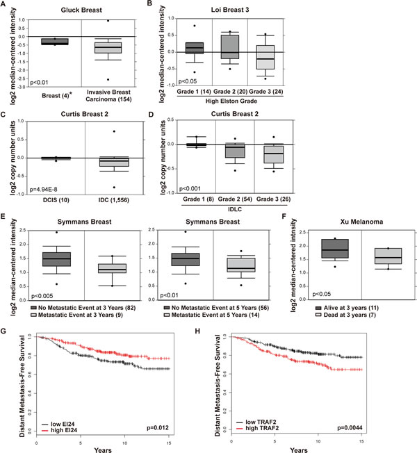 Decreased expression of EI24 correlates with increased tumor invasiveness and poor prognosis in human patients.