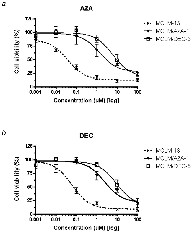 Establishment of hypomethylating agent-resistant cell lines using MOLM-13.