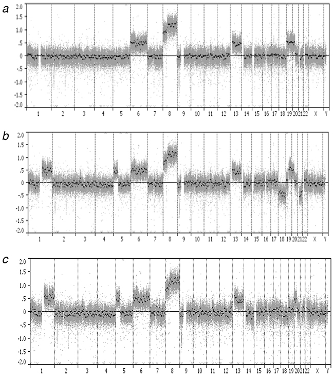 Genome-wide profiles of chromosomal alterations.