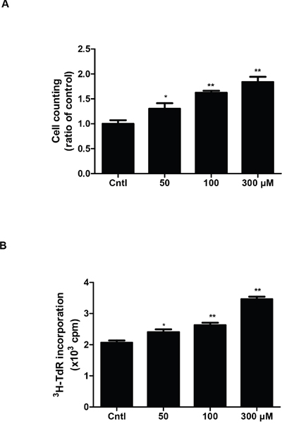 Effect of uric acid on cell proliferation in mouse mesangial cells.