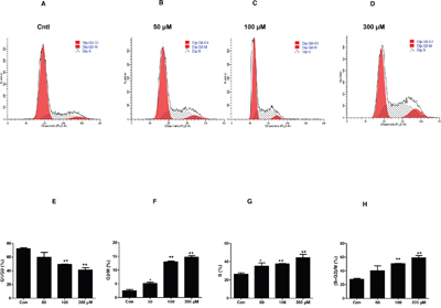 Effect of uric acid on cell cycle progression in mouse mesangial cells.