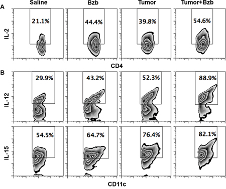 Bortezomib-mediated modulation of IL-2 secretion in CD4+T cells and IL-12 and IL-15 cytokines in CD11c+ cells of tumor-bearing mice.