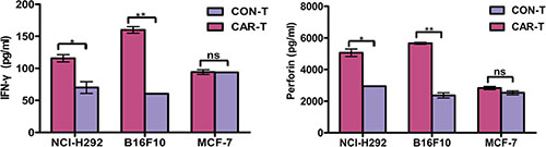 Cytokine release of TF-CAR T cells.