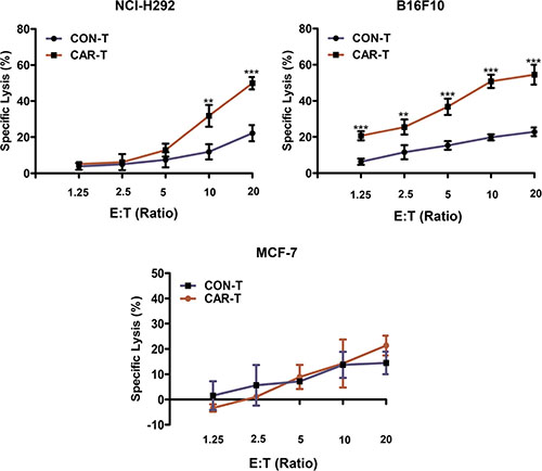 Cytotoxicity of the TF-CAR T cells against TF-positive cancer cells.