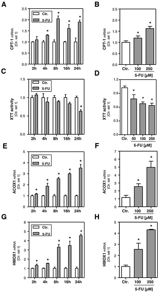 Effect of 5-FU on hepatocellular &#x03B2;-oxidation and oxidative stress.