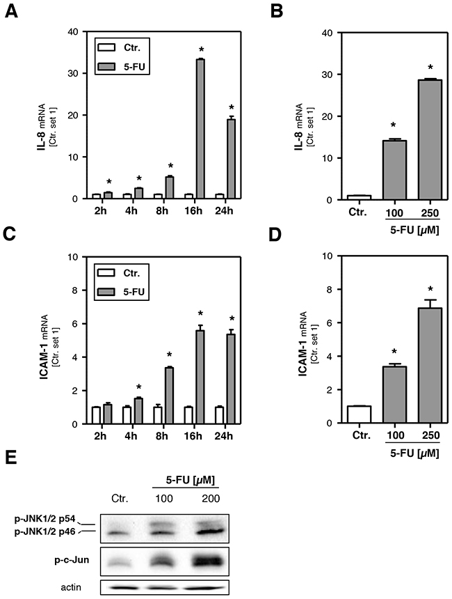 Effects of 5-FU on hepatocellular inflammatory response.