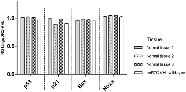 mRNA levels of TP53, p21, Bax, Noxa relative to VHL transcription levels in three normal kidney tissues and one VHL wild-type ccRCC (data are presented as mean +SEM).