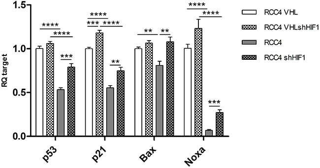 mRNA levels of TP53, p21, Bax and Noxa in RCC4 expressing VHL (white), VHL deficient (grey), and corresponding HIF1&alpha; knockdown (patterned).