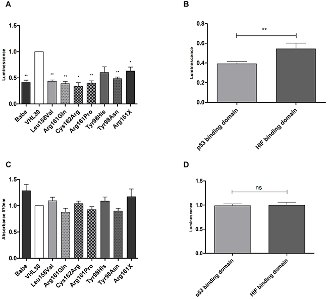 Effects of VHL mutations on apoptosis and cell proliferation.