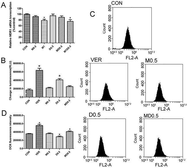 Metformin and 2-deoxyglucose(2DG) combination increased doxorubicin accumulation in MCF-7/Dox cells.