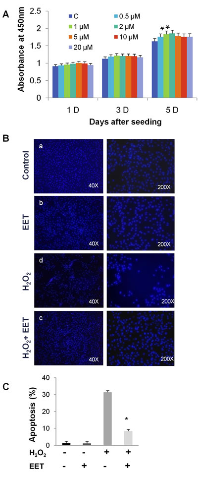 EET protects cultured NP cells from hydrogen peroxide- and TNF-&#x3b1;-induced cytotoxicity.