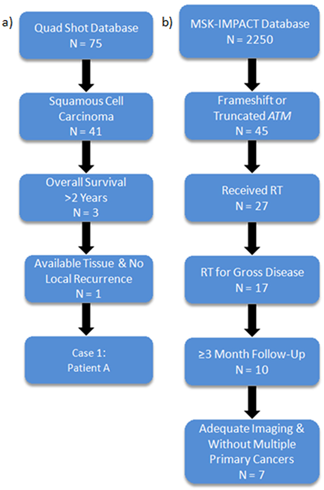 Identification of long-term survivors with ATM frameshift or truncating mutations demonstrating good responses to radiotherapy.