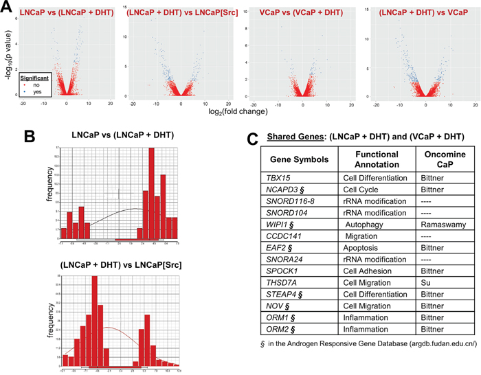 Gene expression trends induced by DHT or Src: Src downregulates whereas DHT upregulates.