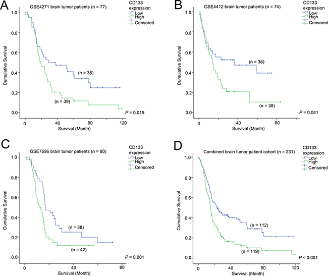 The association between CD133 and patient survival.