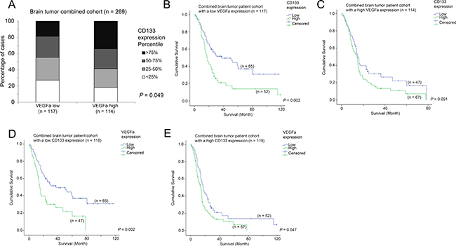 The association between VEGFa mRNA expression, CD133 mRNA expression and survival.