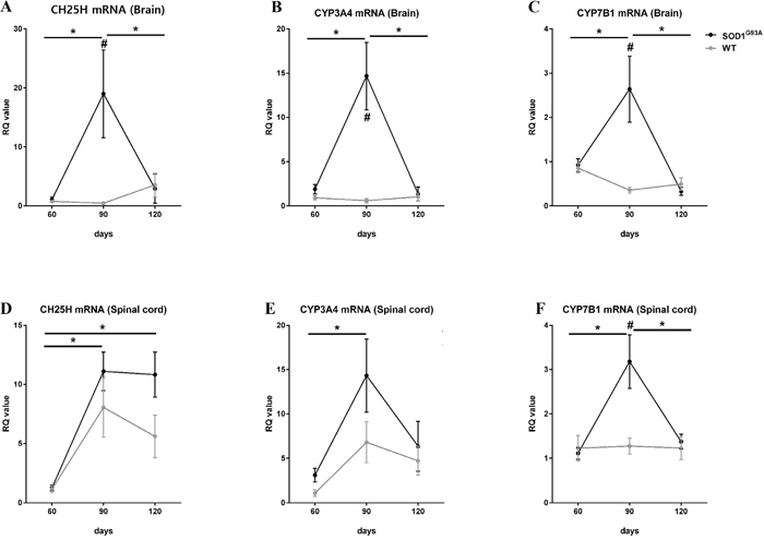 Increased activities of 25-OHC synthesis and metabolism in the early symptomatic stage of SOD1G93A mice.