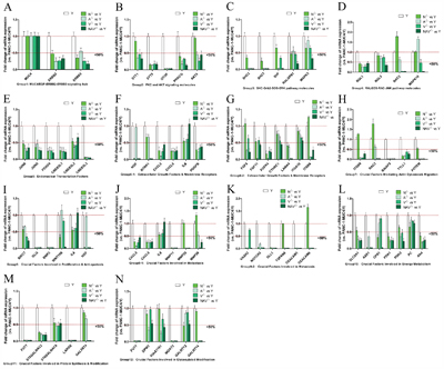 The expression of most DEGs of MUC4/Y triggering was reversed in the absence of unique MUC4/Y domains(NIDO, AMOP, vWD, or synergy).