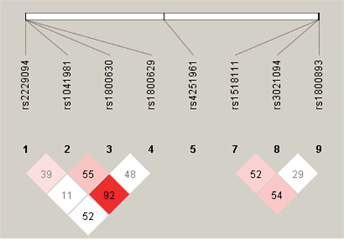 LD plot of the 8 SNPs in genes IL-10 and TNF-&#x03B1;.